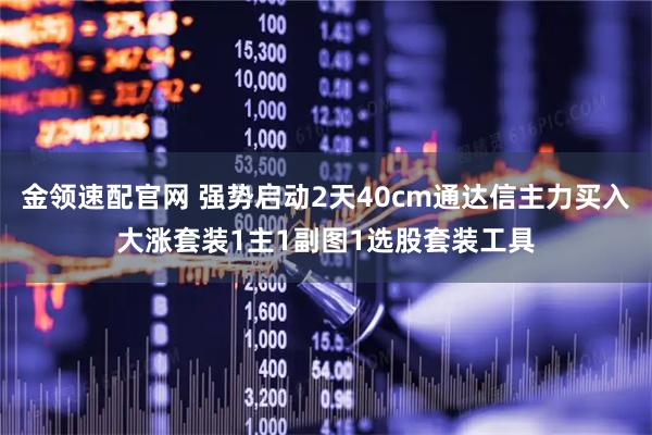 金领速配官网 强势启动2天40cm通达信主力买入大涨套装1主1副图1选股套装工具